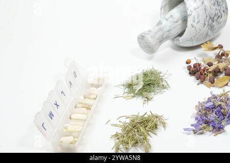 Gruppo di varie piante medicinali accanto a una scatola di pillole isolate su sfondo bianco e spazio di copia, concetto di naturopatia. Foto Stock