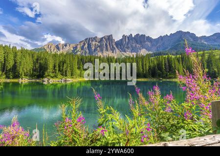 Paesaggio alpino che si riflette nelle acque color smeraldo del lago di carezza, adornato di fiori rosa e incorniciato dai monti latemar Foto Stock