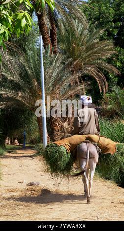 Uomo su un asino nel villaggio di Ramadi in Egitto Foto Stock