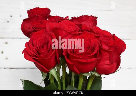 bouquet di rose rosse su sfondo bianco, primo piano Foto Stock