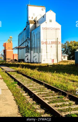 I binari del treno portano a un grande silo di grano. Il silo si chiama Shellbrook. I binari del treno sono vecchi e arrugginiti Foto Stock