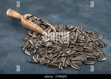 Semi di girasole neri in un cucchiaio, su sfondo di cemento Foto Stock