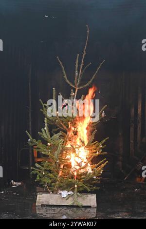 AM Dienstagnachmittag führte die Feuerwehr Hamburg eindrucksvoll vor Augen, wie schnell ein brennender Weihnachtsbaum oder ein Adventsgesteck zur Gefahr werden kann. Dabei Beamte des Trainingszentrums und Lehrgangsteilnehmer ein Wohnzimmer in einen Überseecontainer. Schon kurze Zeit, nach dem Anzünden des Baumes standen bereits Die Coach und der Wohnzimmertisch in Flammen. Dichter schwarzer Brandrauch drang aus dem fiktiven Wohnraum. DAS Löschen mit einem Eimer Wasser oder haushaltsüblichen Kleinlöschern zu diesem Zeitpunkt bereits unmöglich, wie der test simulierte. In der Entstehung des Feue Foto Stock