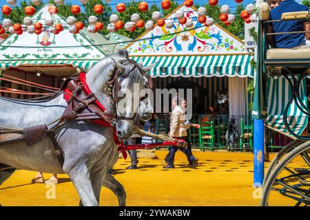 Il cavallo bianco posa di fronte alle colorate tende del festival mentre le carrozze trainate da cavalli e i frequentatori del festival passano davanti alla Fiera di aprile di Siviglia a Siviglia, Spagna. Foto Stock