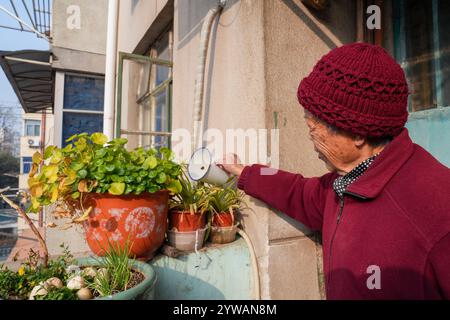 (241210) -- NANJING, 10 dicembre 2024 (Xinhua) -- ai Yiying, sopravvissuto al massacro di Nanchino, Waters Flowers at home a Nanjing, nella provincia cinese orientale di Jiangsu, 7 dicembre 2024. Per molti anni, è stata una routine annuale per ai Yiying piangere i suoi parenti persi nella sala commemorativa delle vittime nel massacro di Nanchino degli invasori giapponesi. Ai Yiying era una bambina quando la città di Nanchino fu invasa dall'esercito giapponese nel dicembre 1937. Il padre di ai, gli zii e i cugini furono portati via dalla loro casa e uccisi dai soldati giapponesi. Il resto della famiglia si è dovuto nascondere per evitare lo stupro e l'omicidio Foto Stock