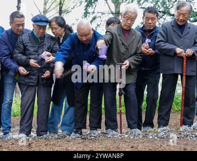 (241210) -- NANJING, 10 dicembre 2024 (Xinhua) -- questa foto scattata il 3 aprile 2024 mostra ai Yiying (3° R, fronte), sopravvissuto al massacro di Nanchino, che partecipa alle attività di commemorazione presso la sala commemorativa delle vittime del massacro di Nanchino da parte degli invasori giapponesi, a Nanchino, nella provincia cinese orientale di Jiangsu, al Festival di Qingming, o al giorno della spazzatura delle tombe, un tradizionale festa cinese che rende omaggio ai loro antenati e ai morti. Per molti anni, è stata una routine annuale per ai Yiying piangere i suoi parenti persi nella sala commemorativa delle vittime a Nanchino Mas Foto Stock