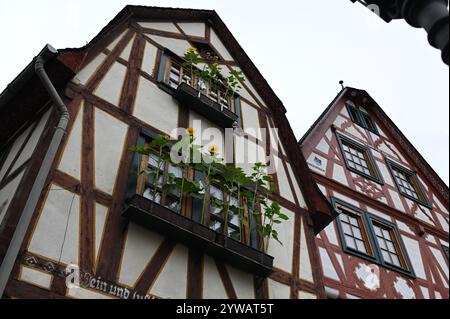 Affascinanti case in legno a Bacharach (Germania) Foto Stock