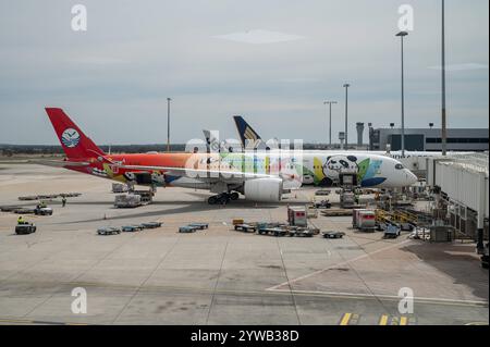 02.11.2024, Melbourne, Victoria, Australien - Ein Airbus A350-900 Passagierflugzeug der chinesischen Fluggesellschaft Sichuan Airlines mit der Registrierung B-30ID und der Panda-Route-Sonderbemalung parkt an einem Gate auf dem Vorfeld des internationalen Flughafen Melbourne Tullamarine. Sichuan Airlines Co. Ltd. Ist eine chinesische Fluggesellschaft mit Sitz a Chengdu und Basis auf dem Flughafen Chengdu-Shuangliu, Sichuan Provinz. *** 02 11 2024, Melbourne, Victoria, Australia un Airbus A350 900 aerei passeggeri della compagnia aerea cinese Sichuan Airlines con la registrazione B 30ID e la Pa Foto Stock