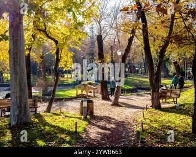 Yerevan, Armenia - 24 novembre 2024: Vista del Parco degli amanti su viale Baghramyan nella città di Yerevan in un giorno d'autunno di sole Foto Stock