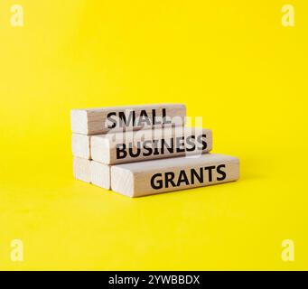 Simbolo delle sovvenzioni per piccole imprese. Parole concettuali Small Business Grants on Wooden blocks. Bellissimo sfondo giallo. Business and Small Business Grants co Foto Stock