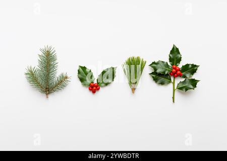 Collezione di piante natalizie decorative con foglie verdi e bacche agrifoglio su sfondo bianco. Foto Stock