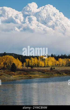 Fumo per Fall Foliage Foto Stock