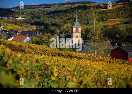 Pittoreschi vigneti della valle della Mosella con colori autunnali e un'incantevole chiesa a Wormeldange-Haut, Lussemburgo, una rinomata regione vinicola Foto Stock