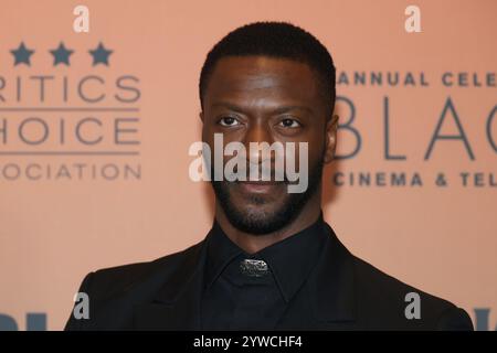 Los Angeles, Stati Uniti. 10 dicembre 2024. Aldis Hodge partecipa alla settima edizione della Critics Choice Association per la celebrazione annuale del cinema e della televisione neri al Fairmont Century Plaza il 9 dicembre 2024 a Los Angeles, California. Foto: Crash/imageSPACE/Sipa USA credito: SIPA USA/Alamy Live News Foto Stock