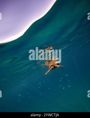 Un sott'acqua sotto il colpo di una tartaruga marina verde sulla superficie dell'oceano e sullo sfondo del cielo, con riflessi della tartaruga, pesci della barriera corallina e raggi solari Foto Stock
