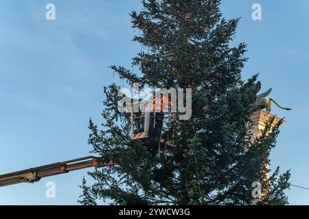 venezia, fase di lavoro nella decorazione e assemblaggio dell'albero in piazza san marco a venezia. decorazioni natalizie e festeggiamenti di fine anno in acqua Foto Stock