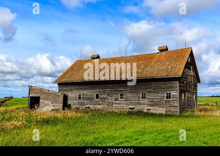 Un grande, vecchio fienile in legno con molte finestre e un tetto inclinato. Il fienile è circondato da un campo d'erba Foto Stock