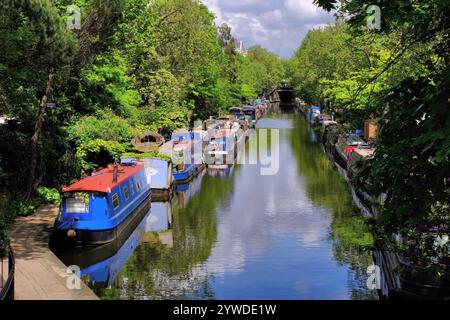 Chiatte colorate (case galleggianti) ormeggiate e riflessi e alberi lungo il Regent's Canal a Little Venice, Londra, Inghilterra, Regno Unito Foto Stock