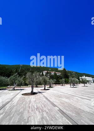 Un tranquillo parco urbano mette in mostra gli ulivi in una giornata di sole, con un cielo azzurro. L'atmosfera invita al relax e alla contemplazione in questo natu Foto Stock