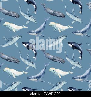 Motivo senza cuciture con balene. Texture ripetuta con mammiferi marini. Illustrazione acquerello. Balena Beluga, sperma, balena assassina, megattere. Pattern su sfondo blu. Foto Stock