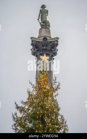 11 dicembre 2024. Norwegian Spruce Christmas Tree, Trafalgar Square, Londra, Regno Unito, il 77° anniversario del dono di un albero di Natale a Londra da Oslo Foto Stock