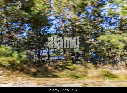 immagine leggermente sfocata di un treno lirr che si muove su un tratto di napaeague nel tragitto per montauk Foto Stock