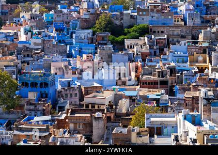 Ammira il quartiere conosciuto come Blue City a Jodhpur, Rajasthan, India Foto Stock
