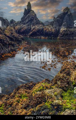 piscina di roccia tra rocce frastagliate ricoperte di alghe e alghe marine in irlanda Foto Stock