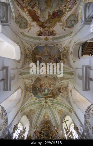 Volte con dipinti a soffitto nella basilica di pellegrinaggio di Maria Bruennlein in stile rococò costruita tra il 1748 e il 1782, Wemding, Svevia, Baviera, tedesco Foto Stock