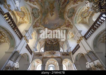 Loft d'organo della basilica di pellegrinaggio di Maria Bruennlein in stile rococò costruito tra il 1748 e il 1782, Wemding, Svevia, Baviera, Germania, Europa Foto Stock