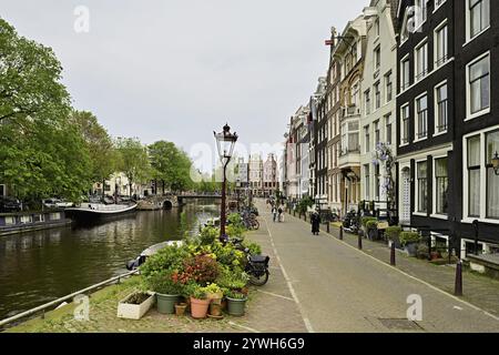 Case storiche sul Brouwersgracht, Amsterdam, Provincia dell'Olanda settentrionale, Paesi Bassi Foto Stock