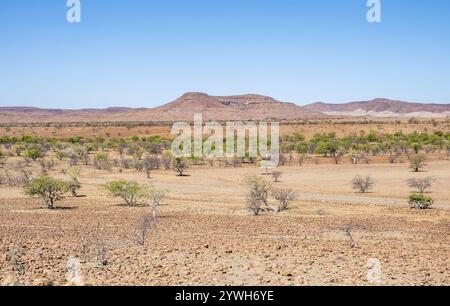 savana africana, paesaggio desertico secco con montagne da tavola, Damaraland, Kunene, Namibia, Africa Foto Stock