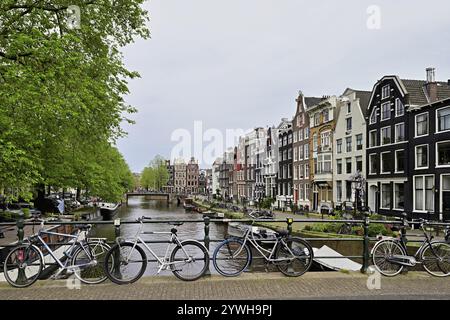 Biciclette su un ponte, case storiche su Brouwersgracht, Amsterdam, Provincia dell'Olanda settentrionale, Paesi Bassi Foto Stock