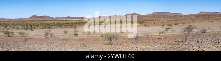 savana africana, paesaggio desertico secco con montagne da tavola, Damaraland, Kunene, Namibia, Africa Foto Stock