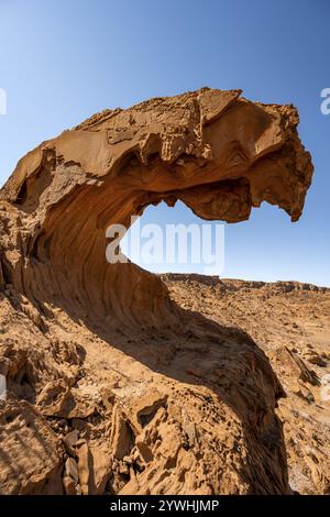 Formazione rocciosa a bocca del Leone, Twyfelfontein, paesaggio desertico, Kunene, Namibia, Africa Foto Stock