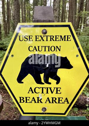 Cartello di avvertimento giallo nella foresta con la scritta "Use Extreme Caution Active Bear area", Alaska, USA, Nord America Foto Stock