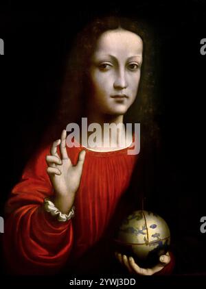 Il Salvatore del mondo 1504 Entourage di Leonardo da Vinci, (Vinci 1452 – Amboise 1519) , Firenze, Italia. , France fine Art Museum, italiano Foto Stock