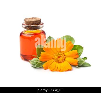 Fiore di Calendula e supplemento di calendula in bottiglia su sfondo bianco. Ingrediente cosmetico sano o ingrediente alimentare sano. Ingredienti ayurveda Foto Stock