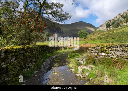 Splendido paesaggio nella valle Kentmere a nord di Kendal nel parco nazionale del Lake District, Cumbria, Inghilterra. Foto Stock