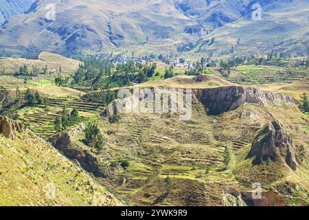 Incredibile paesaggio panoramico di terrazze agricole nel Canyon del Colca della regione di Arequipa, Perù, Sud America Foto Stock