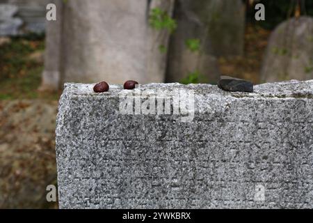 Pietre di visita al vecchio cimitero ebraico nel quartiere Zizkov a Praga, Repubblica Ceca. Le pietre di visita sono poste sulle tombe dai visitatori secondo Foto Stock