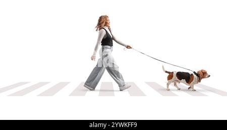 Donna asiatica che cammina con un cane basset su zebra pedonale isolata su sfondo bianco Foto Stock