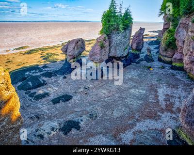 Sea Stacks e Ocean Floor durante la bassa marea a Staircase Cove presso l'Hopewell Rocks Provincial Park nel New Brunswick Canada Foto Stock