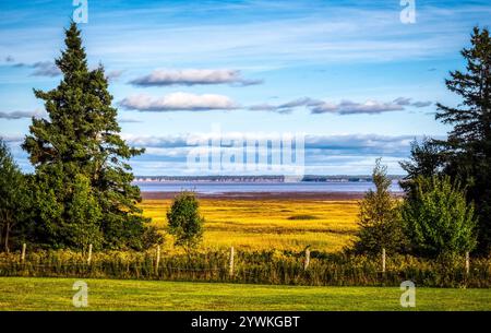 Ammira i campi autunnali della baia di Fundy a Hopewell Cape, New Brunswick, Canada Foto Stock