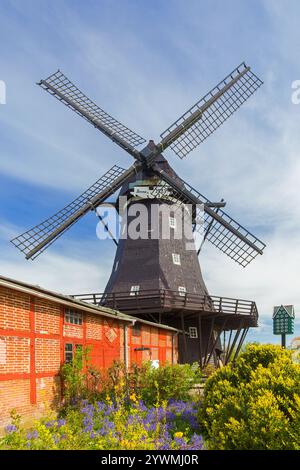 Museo dei mulini a vento nel vecchio mulino Jachen Flünk nel villaggio di Lemkenhafen sull'isola di Fehmarn, distretto di Ostholstein, Schleswig-Holstein, Germania Foto Stock