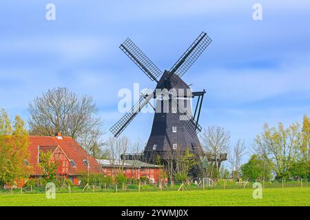 Museo dei mulini a vento nel vecchio mulino Jachen Flünk nel villaggio di Lemkenhafen sull'isola di Fehmarn, distretto di Ostholstein, Schleswig-Holstein, Germania Foto Stock
