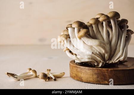 Funghi shimeji marroni freschi su un tavolo di legno. Foto Stock