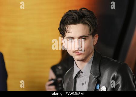 Los Angeles, Stati Uniti. 10 dicembre 2024. Timothée Chalamet alla prima mondiale "A complete Unknown" tenutasi al Dolby Theatre, Los Angeles, CA, 10 dicembre 2024. Foto: Joseph Martinez/PictureLux credito: PictureLux/The Hollywood Archive/Alamy Live News Foto Stock