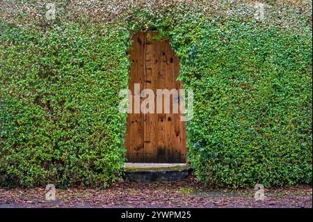 Cancello in una siepe che conduce ad un giardino, Regno Unito Foto Stock