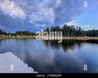 Un cielo coperto proietta una luce soffusa su un lago tranquillo, con il riflesso speculare della fitta foresta che fiancheggia le rive, creando un tranquillo e conte Foto Stock